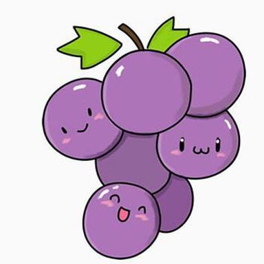 小葡萄知识