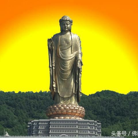 无情伤痛好玩么头像