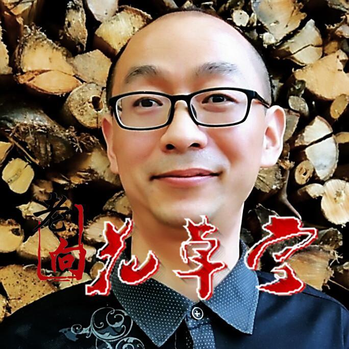 花草堂老向头像