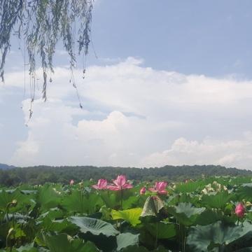 心情密码驿站头像