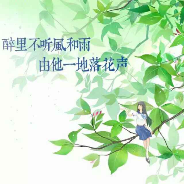 醉里不听風和雨头像