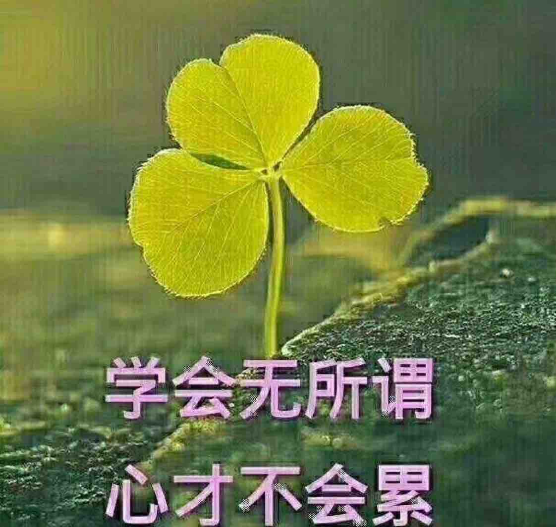 春来花开别来无恙n头像