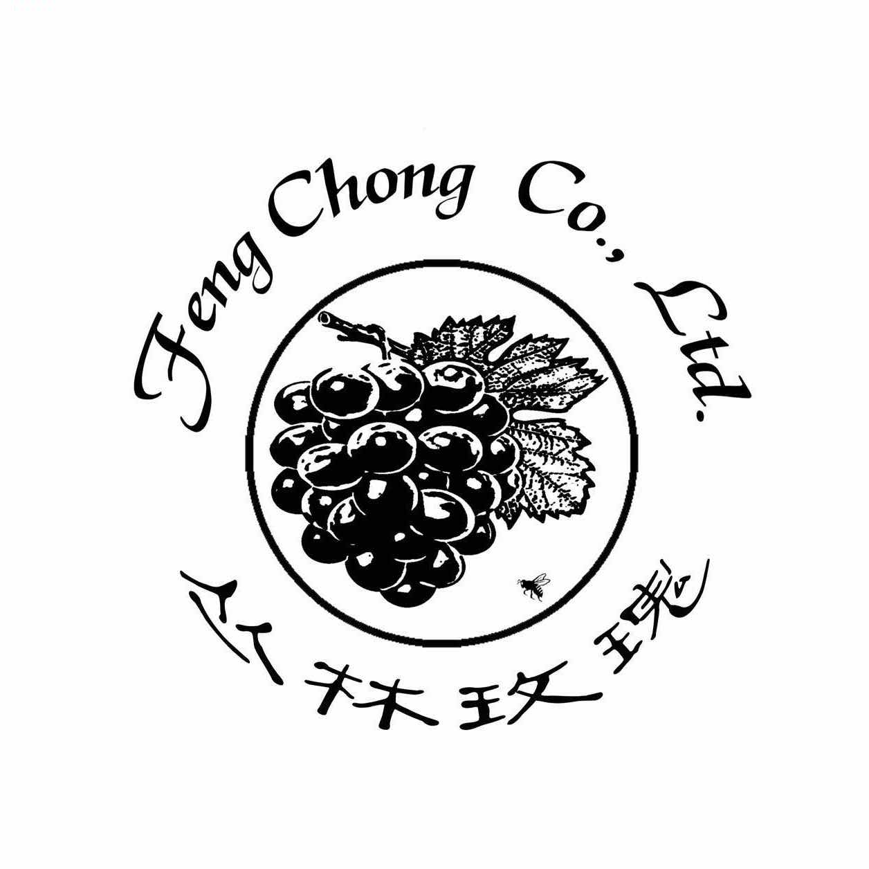 丛林玫瑰13020352853头像