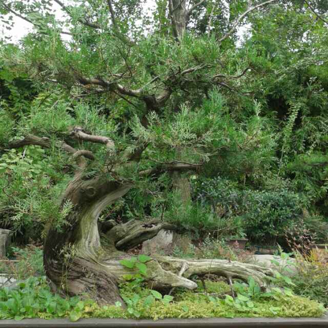 向芳926头像