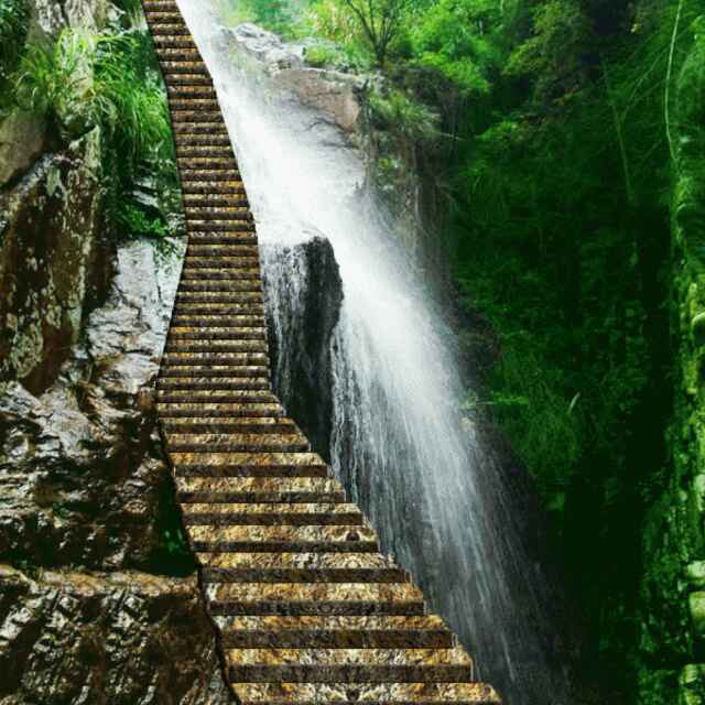 风雨同舟微信头像图片