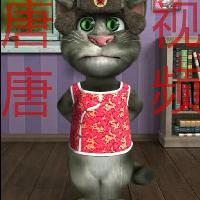 唐唐说事头像