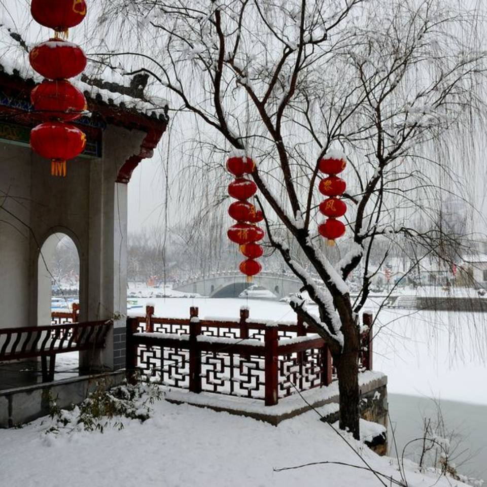 瑞雪兆丰年882头像