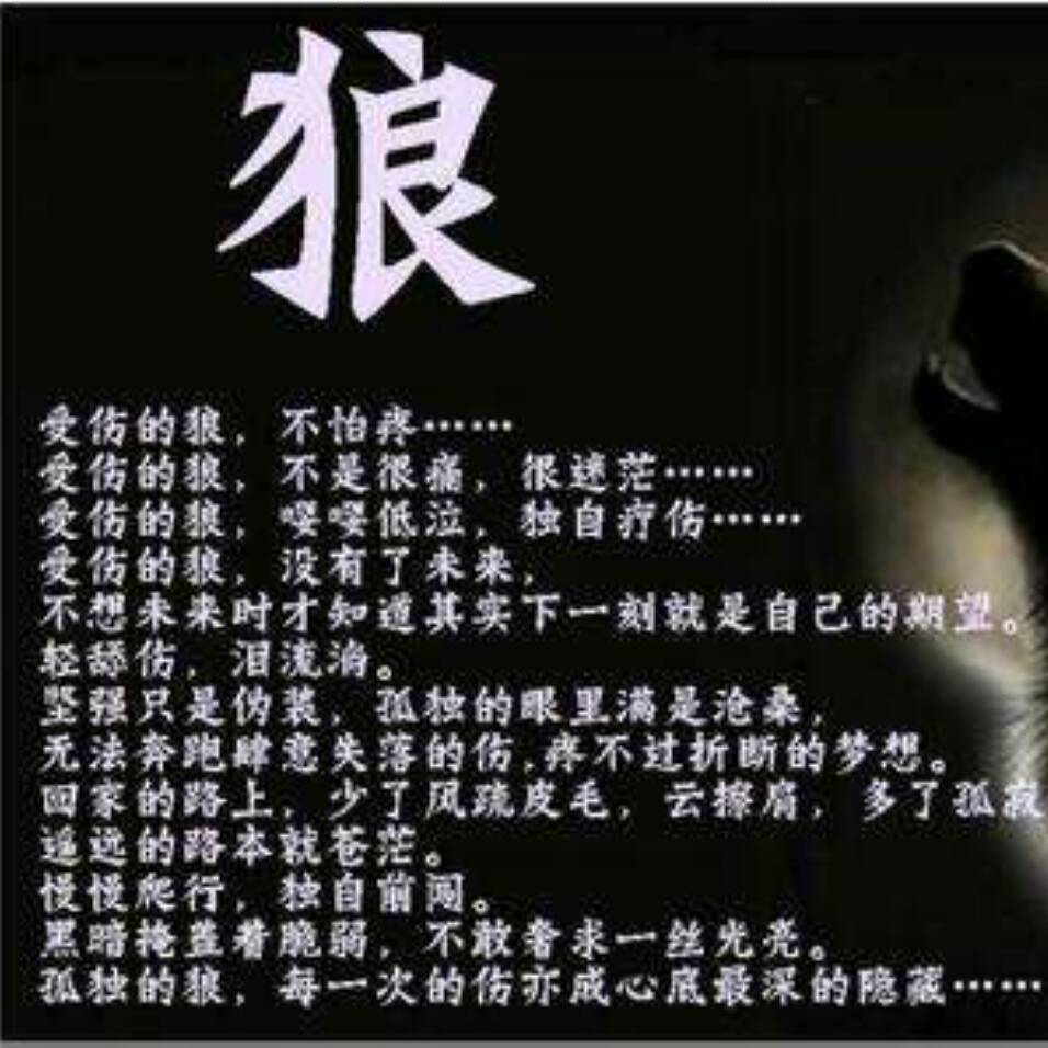 天下孤狼401头像