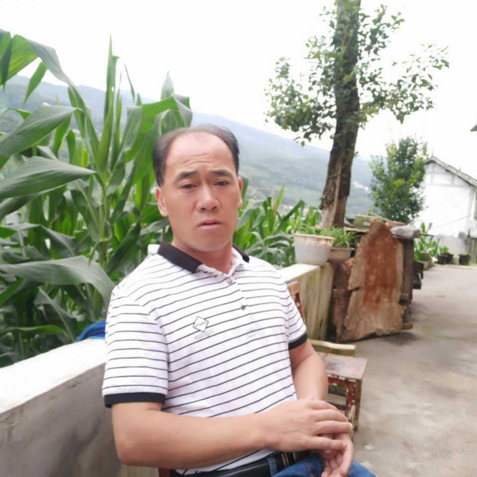 心想事成4235582770660头像