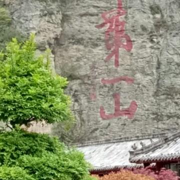 17745284605头像