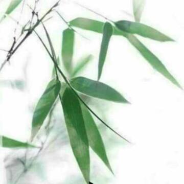竹醉风清头像