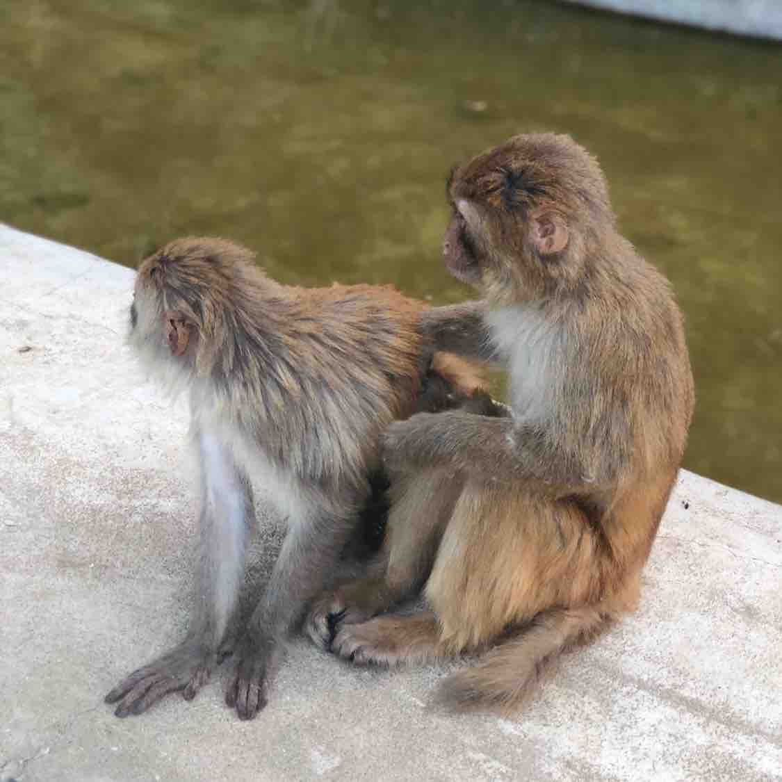 深圳卫视播音员小毛