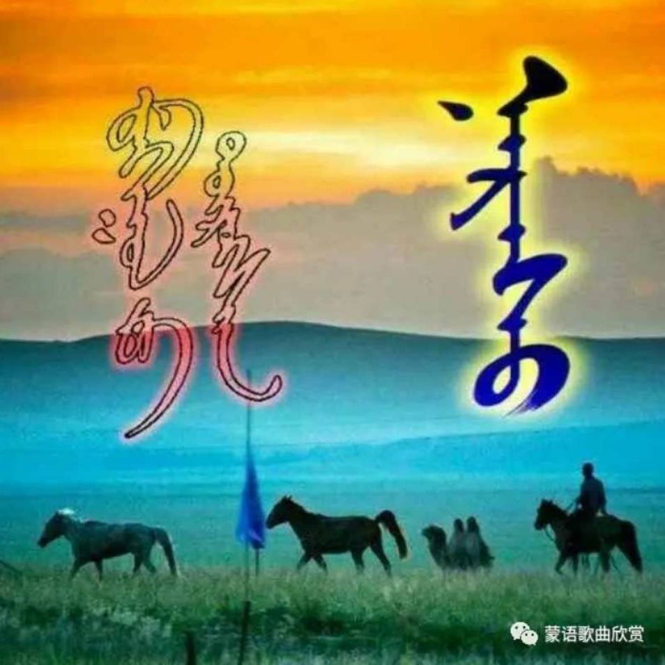 那日苏156头像
