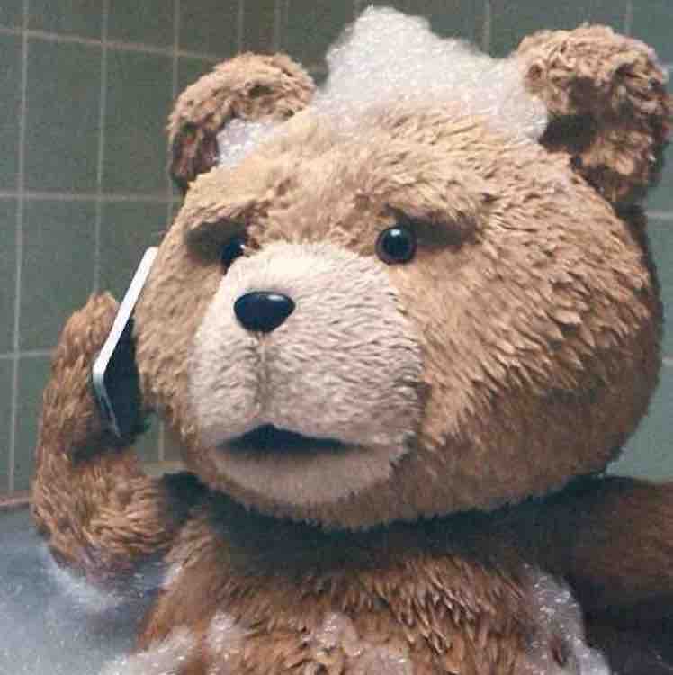 朝气蓬勃的军蝈蝈