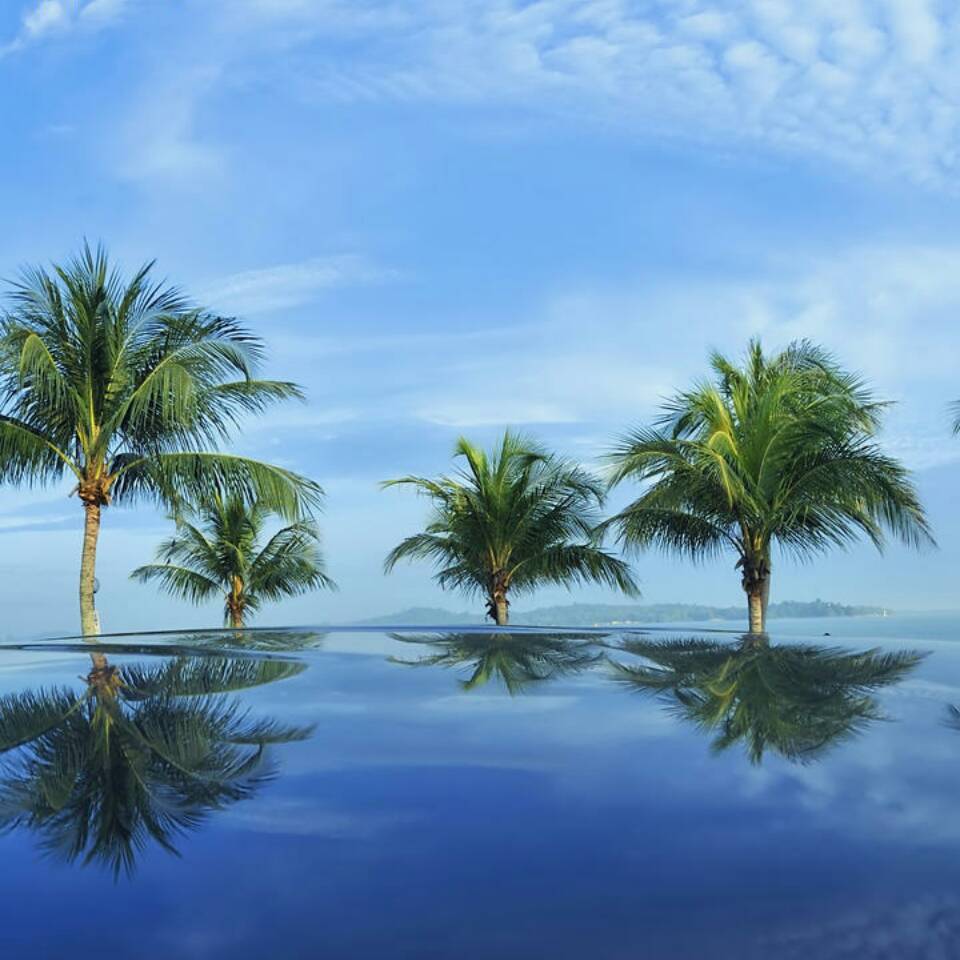 辽阔大海233头像