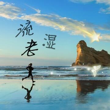 l流老师头像