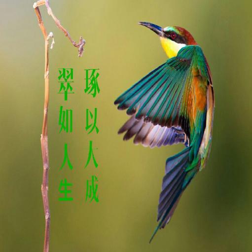 三生年流水溅落花誓言头像