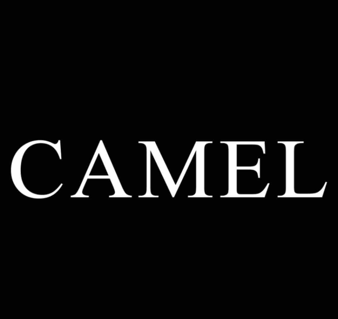 camel骆驼官方号头像