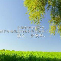 麦克博n头像