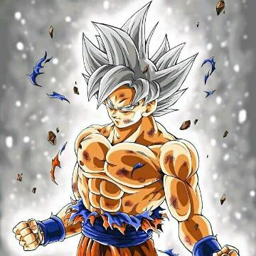 卡卡罗特3353头像