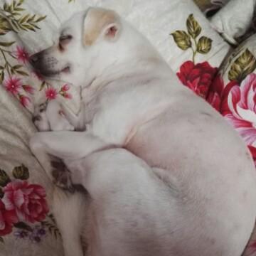 晓君42038726头像