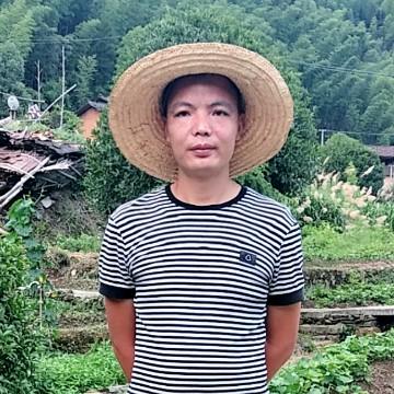 小龙哥农村记事头像