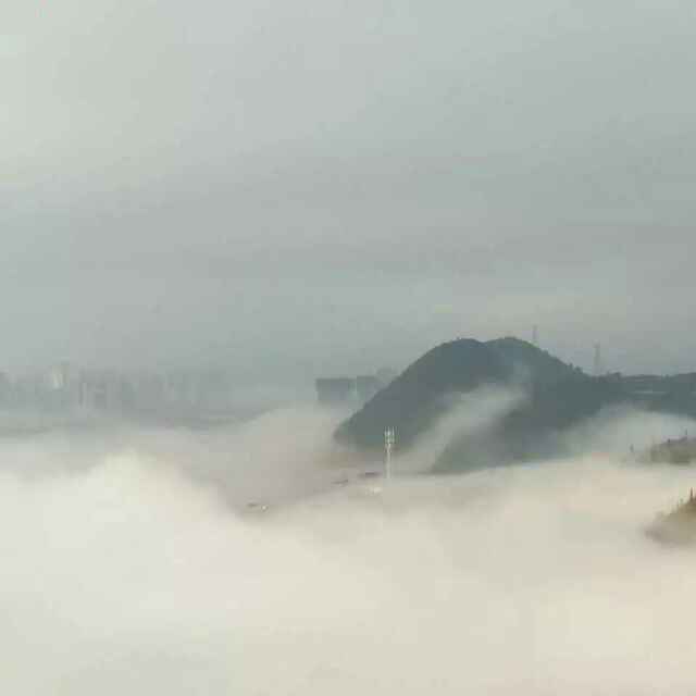 姜杨大道头像