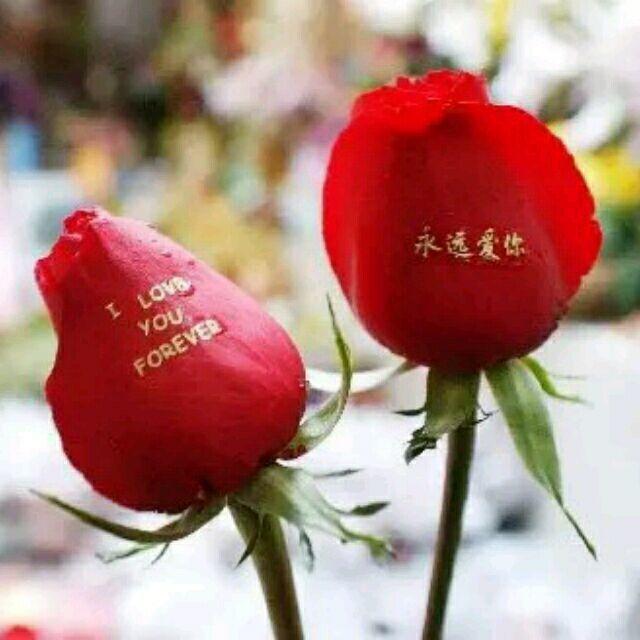 我心只有你你是我一辈子头像