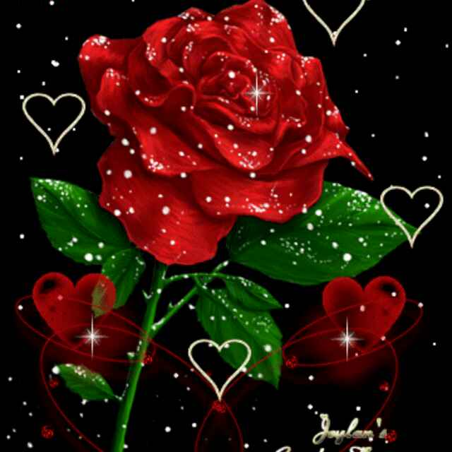 勿忘我1317780963215头像