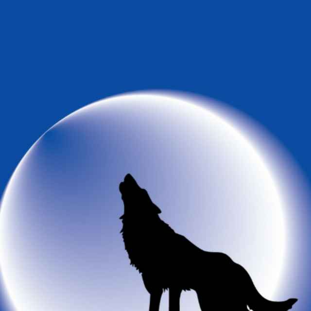 草原狼1662595头像