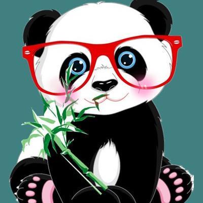 China潘哒头像