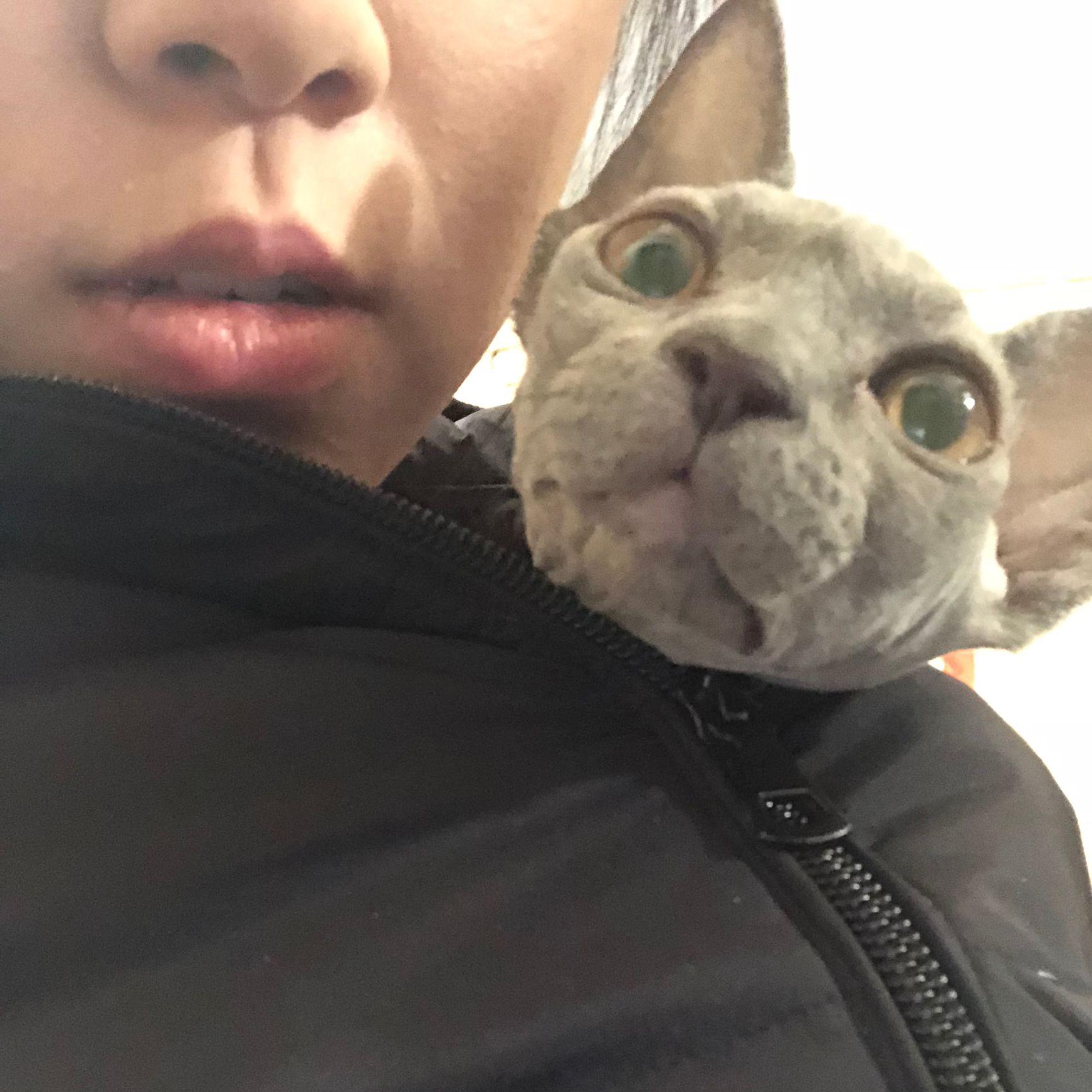 瓜嘻嘻兮兮头像