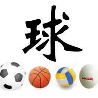 沙卡拉头像