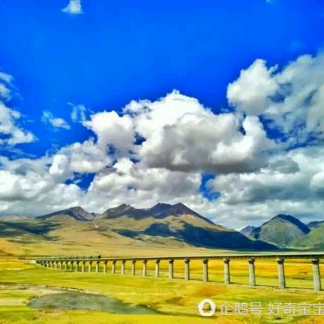 《专业包装设备》比业机械头像