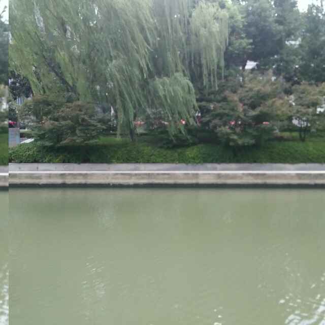 相识有缘147553297头像