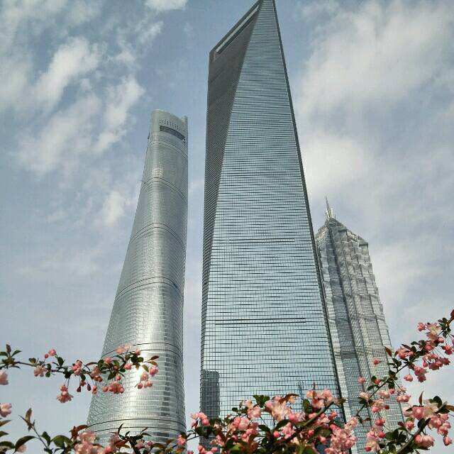 上海城市头像图片