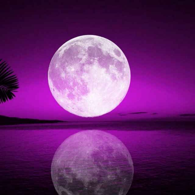 月亮69460068头像