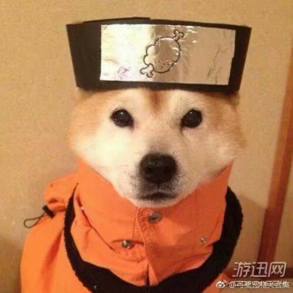 汪小圣930头像