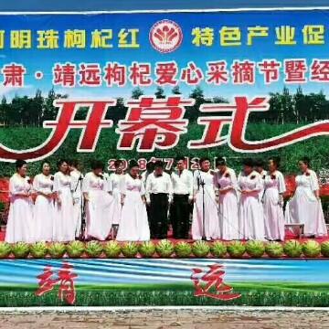 枸杞盟主批发零售头像