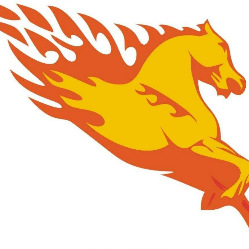 天马行空62730头像