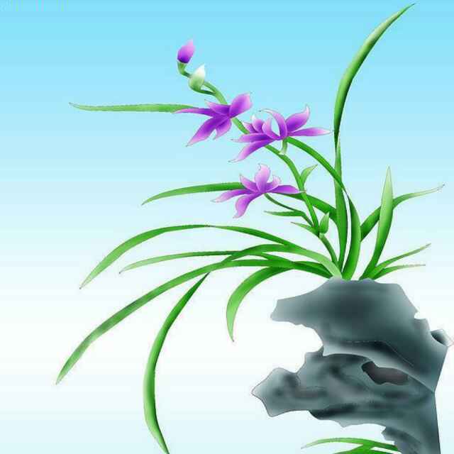 燕子3732921450492头像