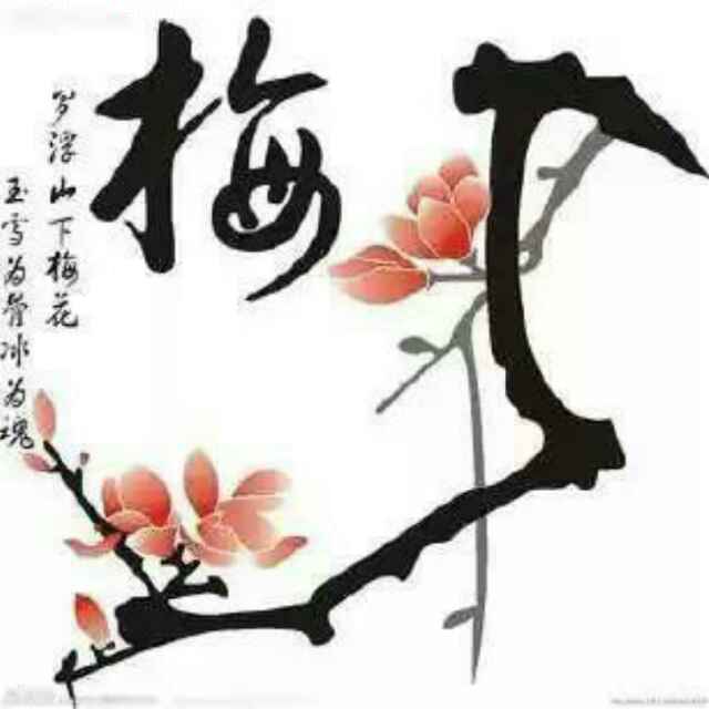 踏雪寻梅92499头像
