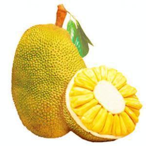 海南羊咩咩头像