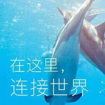 杨胖子每日说交通头像