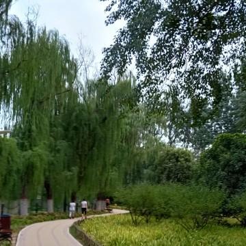 山间小径小木屋头像