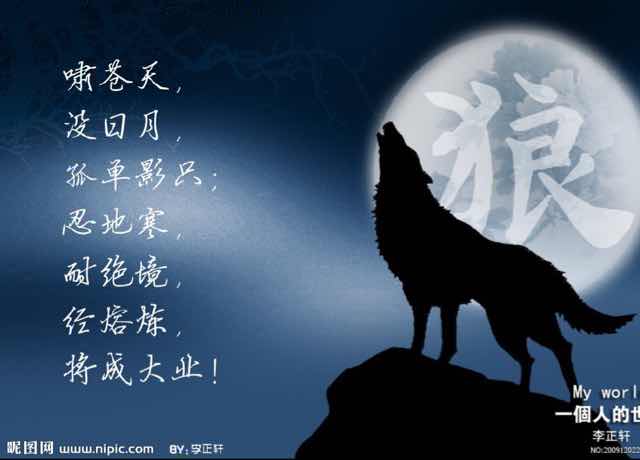 狼行天下52415头像