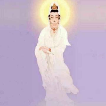 阳阳头像