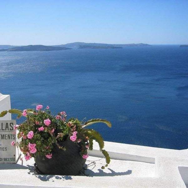 爱琴海38355头像