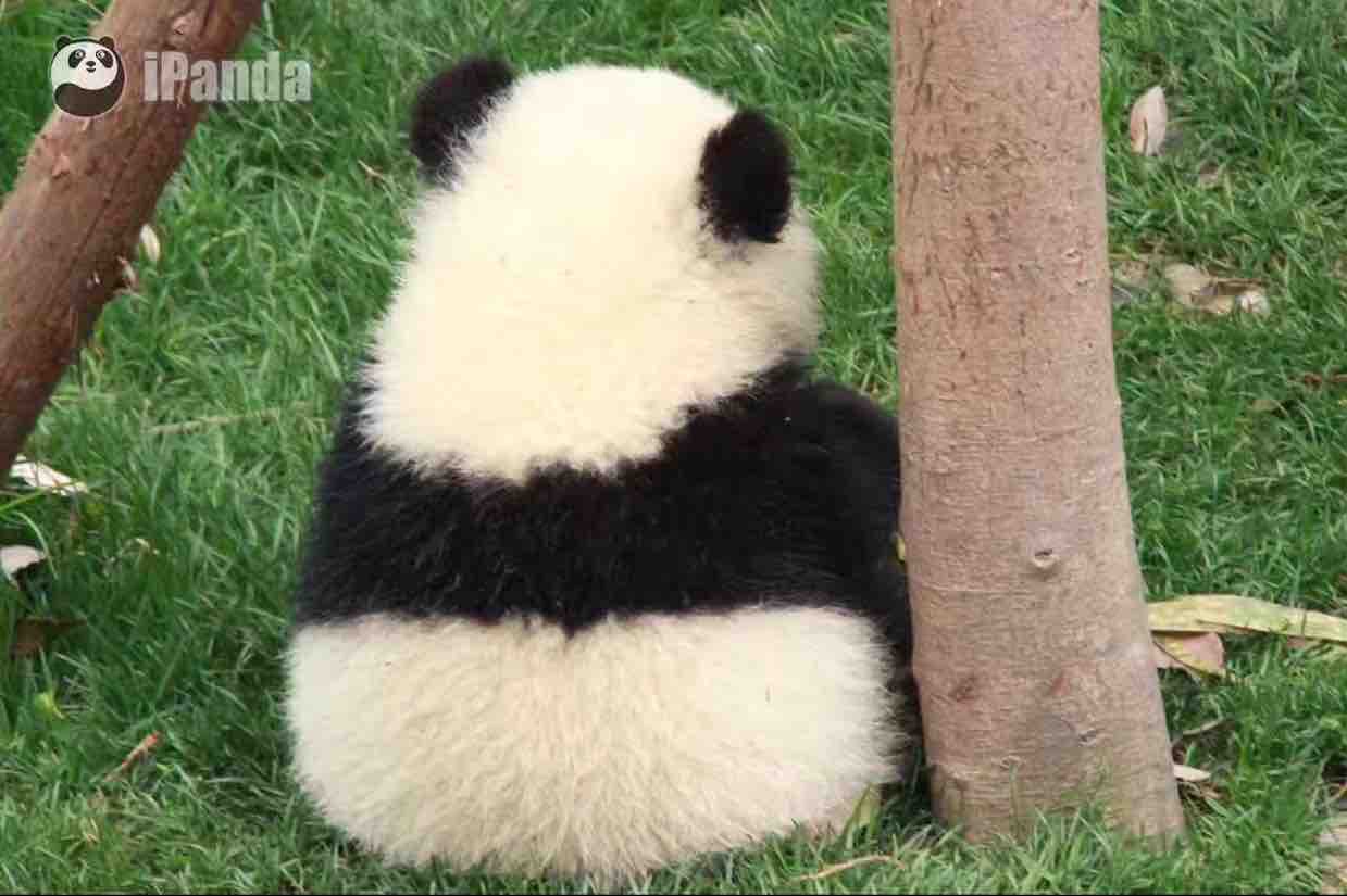 张素芳教授小儿推拿头像