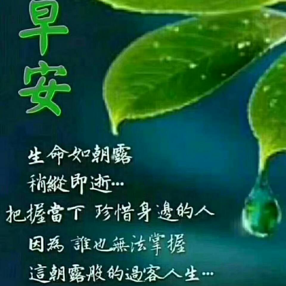人在他乡590头像
